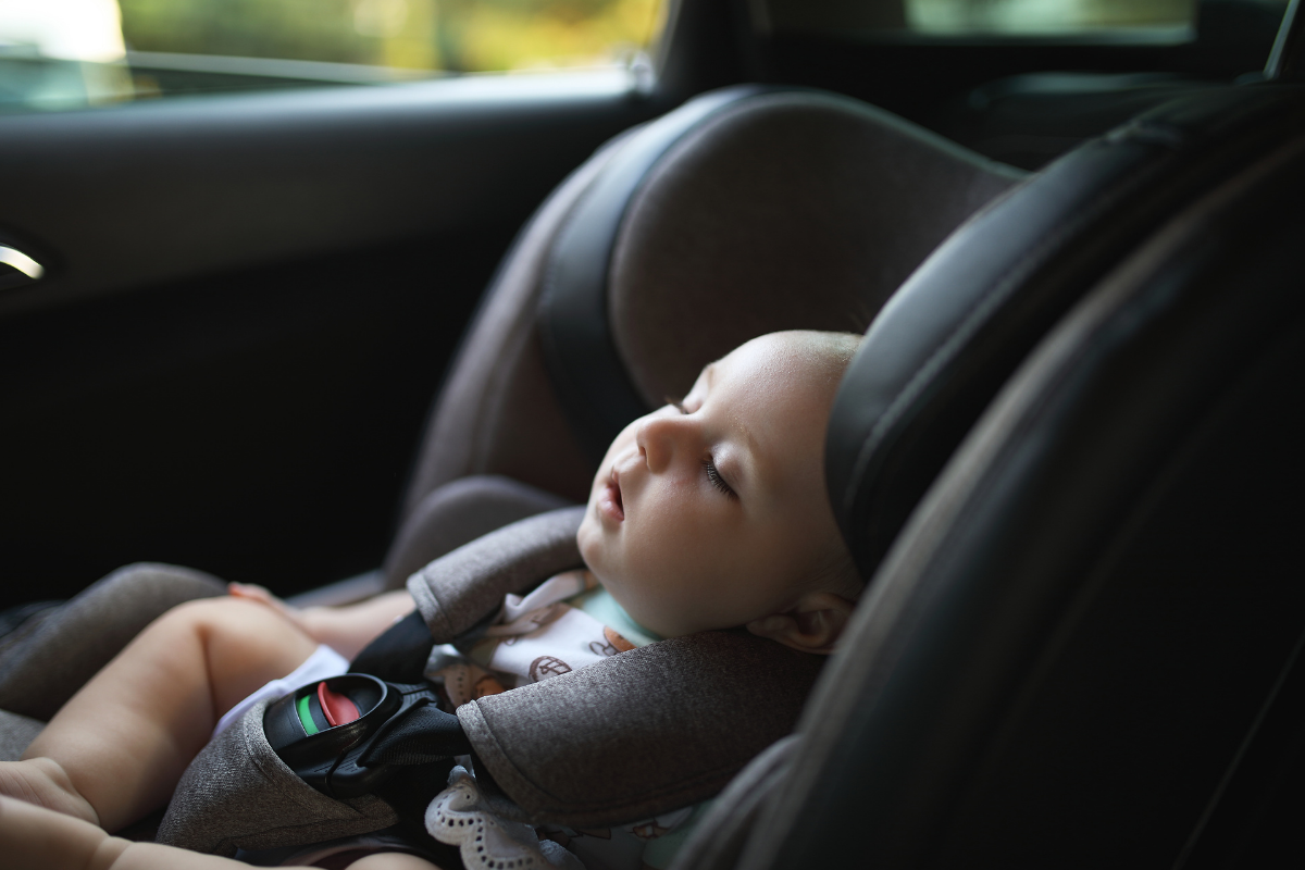 Travel System Specs: Hardware Recon Guide