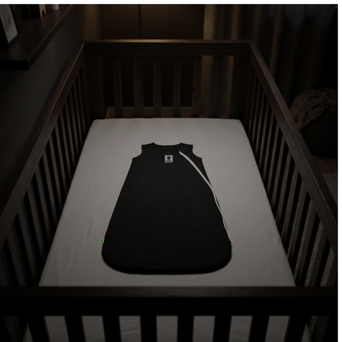 DaddyDo Standard Asset / Cadet Kit (SA/CK) Sleeping Bag