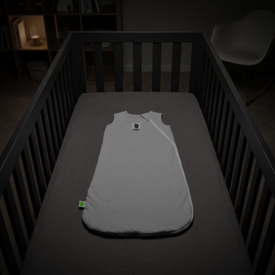 DaddyDo Standard Asset / Cadet Kit (SA/CK) Sleeping Bag